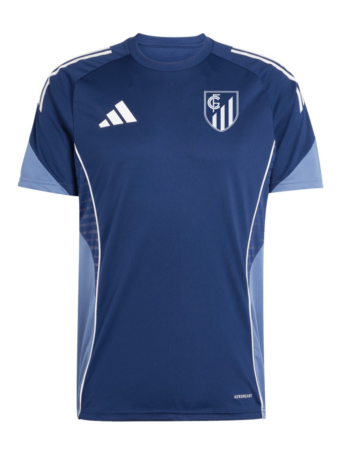 adidas Tiro 25 Competition Trainingstrikot