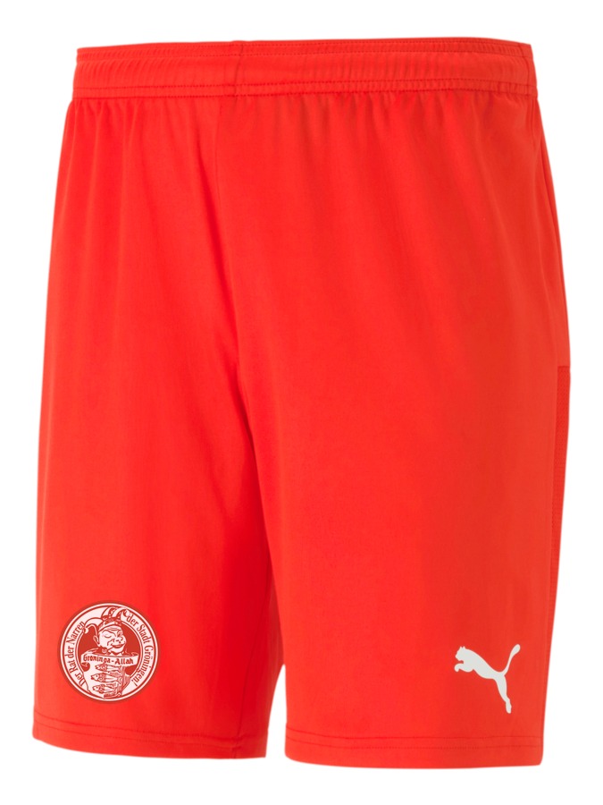 PUMA teamGOAL 23 Knit Shorts
