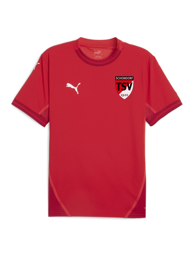 PUMA teamFINAL Trikot