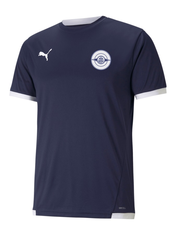 PUMA teamLIGA Trikot