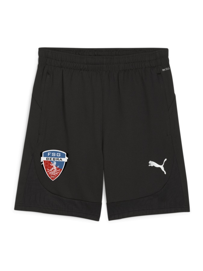 PUMA teamFINAL Training Shorts