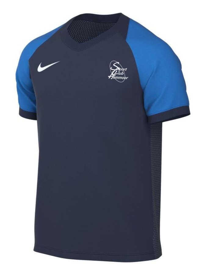 Nike Trophy VI Trikot