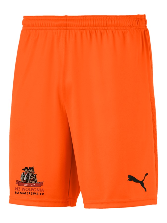 PUMA teamGOAL 23 Knit Shorts