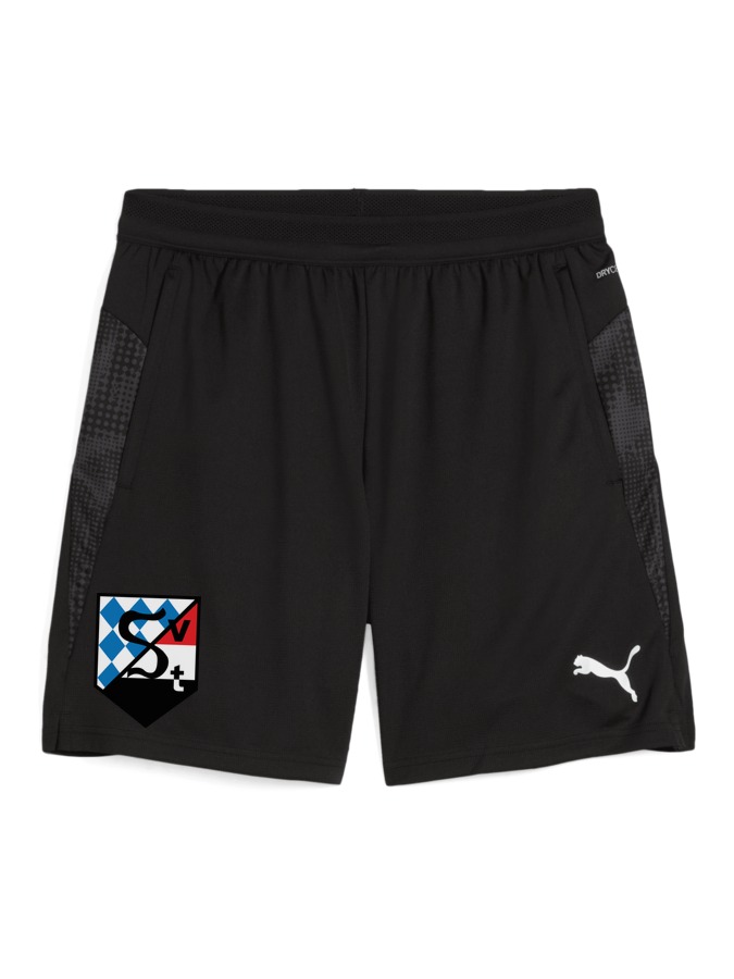 PUMA teamCUP Training Shorts