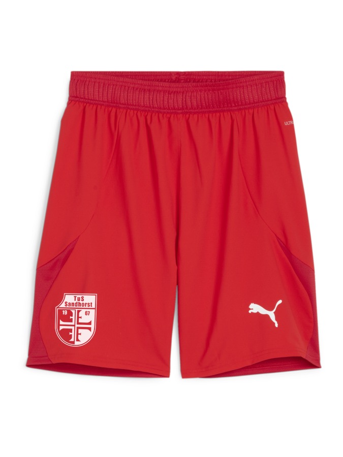 PUMA teamFINAL Shorts