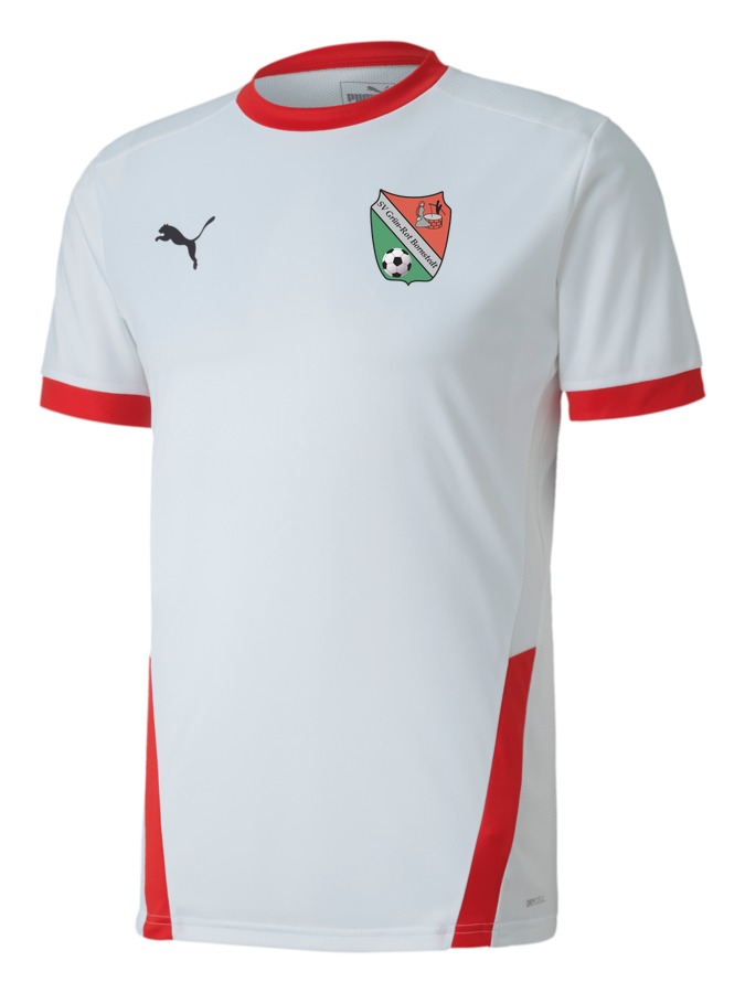 PUMA teamGOAL 23 Trikot