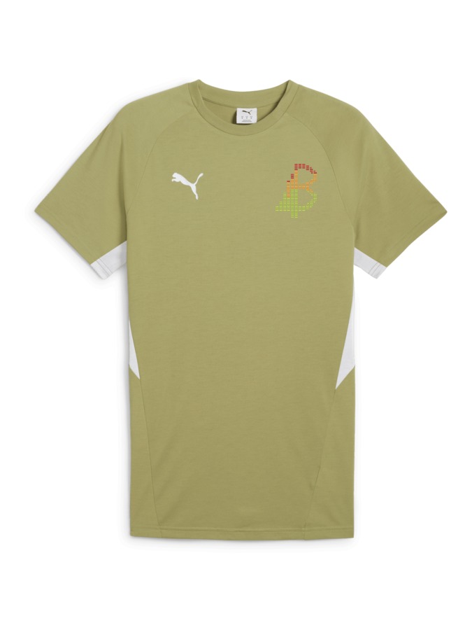 PUMA teamEVOSTRIPE T-Shirt