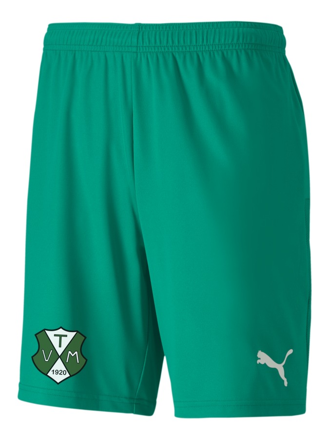 PUMA teamGOAL 23 Knit Shorts
