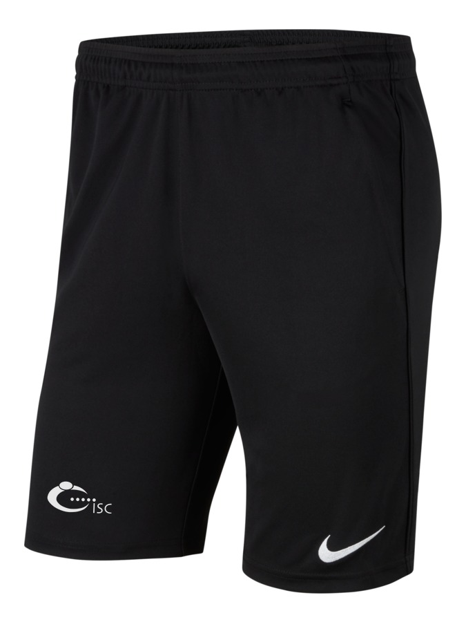 Nike Park 20 Knit Shorts