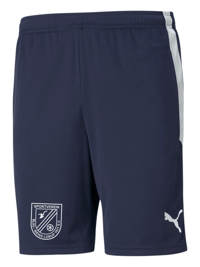 PUMA teamLIGA Training Shorts