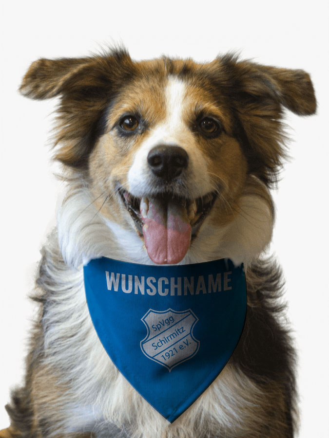 Hundehalstuch