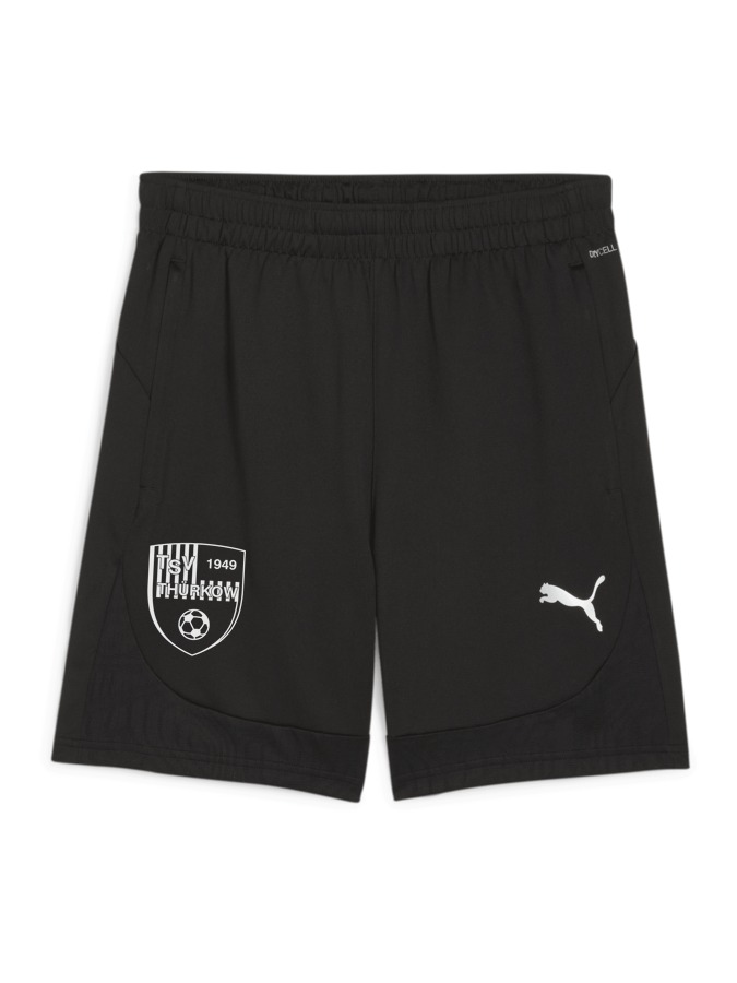 PUMA teamFINAL Training Shorts