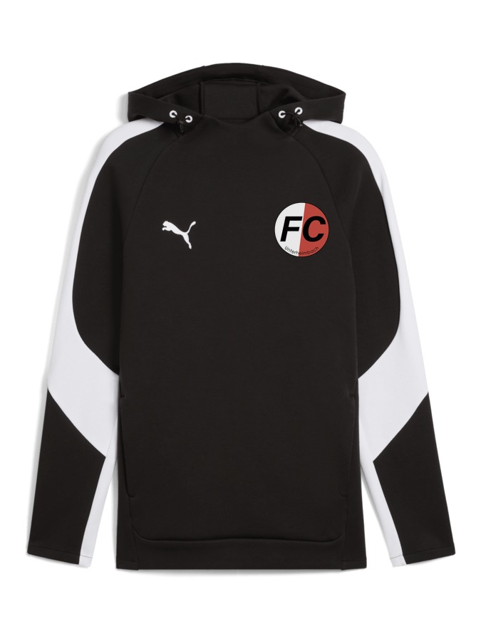 PUMA teamEVOSTRIPE Hoody