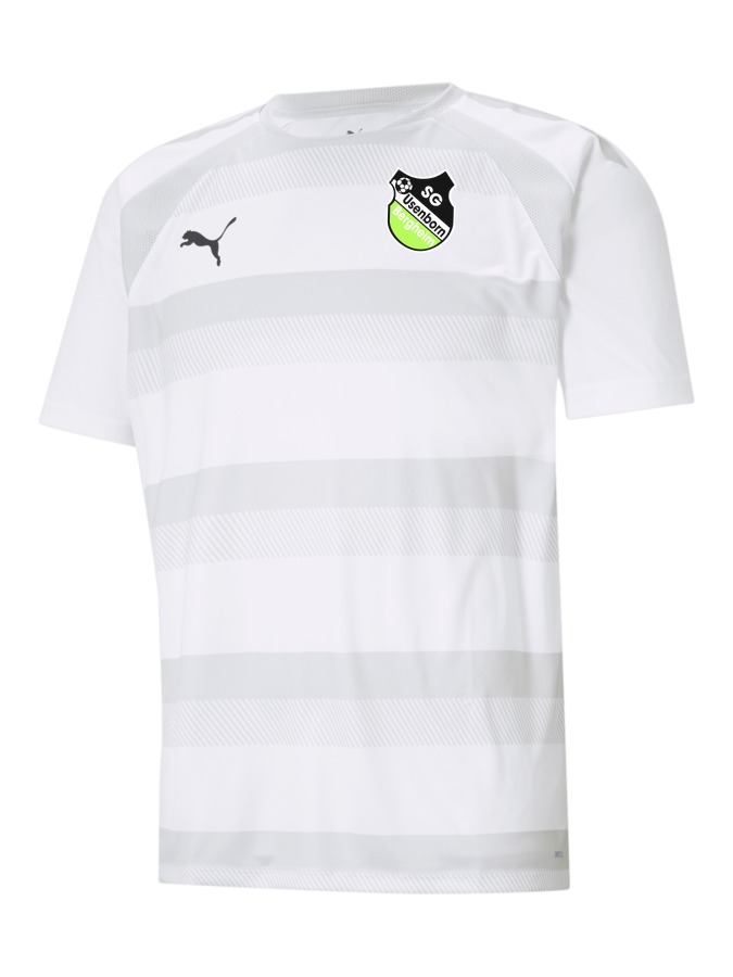 PUMA teamVISION Trikot