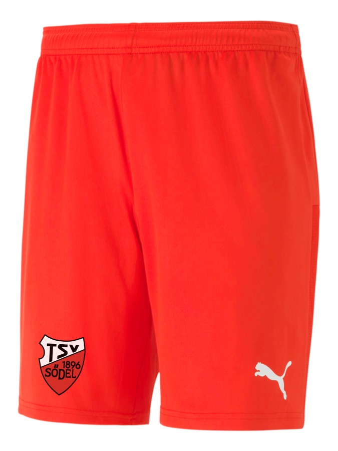 PUMA teamGOAL 23 Knit Shorts