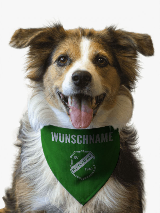 Hundehalstuch