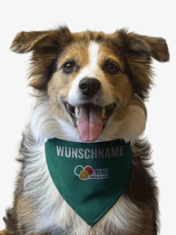 Hundehalstuch