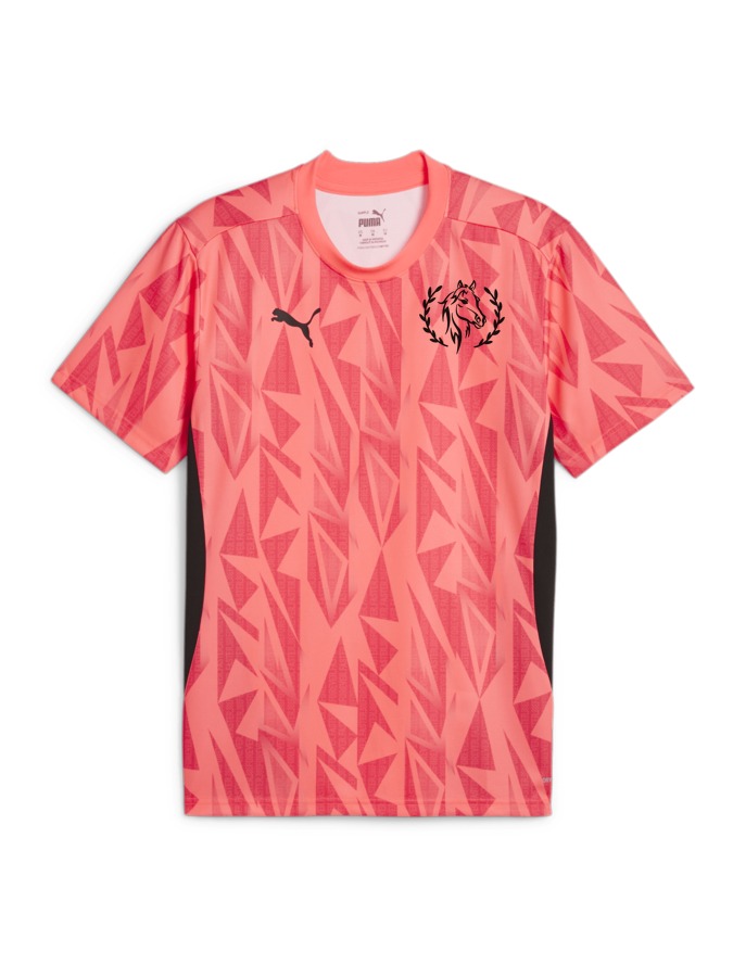 PUMA individualFINAL Trikot