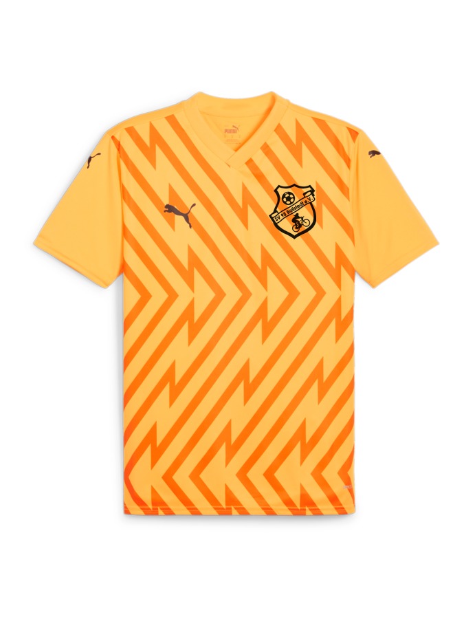 PUMA teamGLORY Trikot