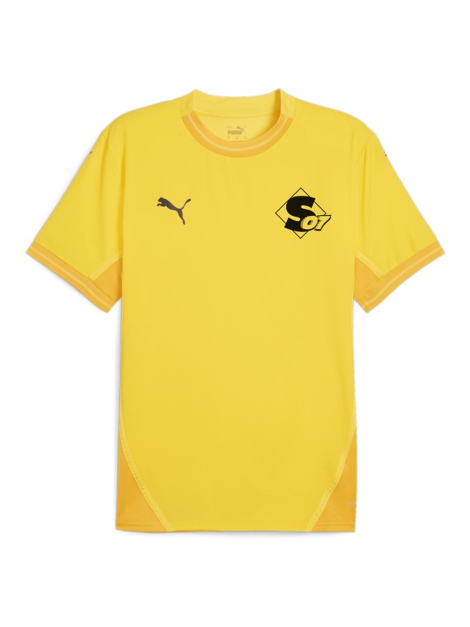 PUMA teamFINAL Trikot