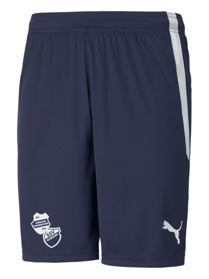PUMA teamLIGA Shorts