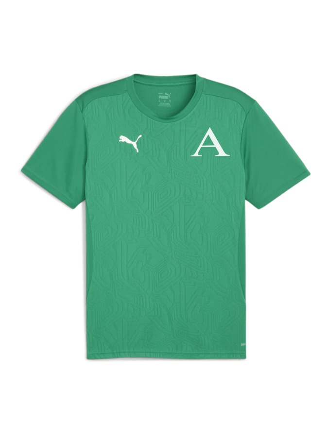 PUMA teamFINAL Trainingsshirt