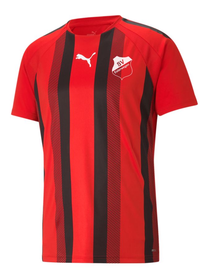 PUMA teamLIGA Striped Trikot