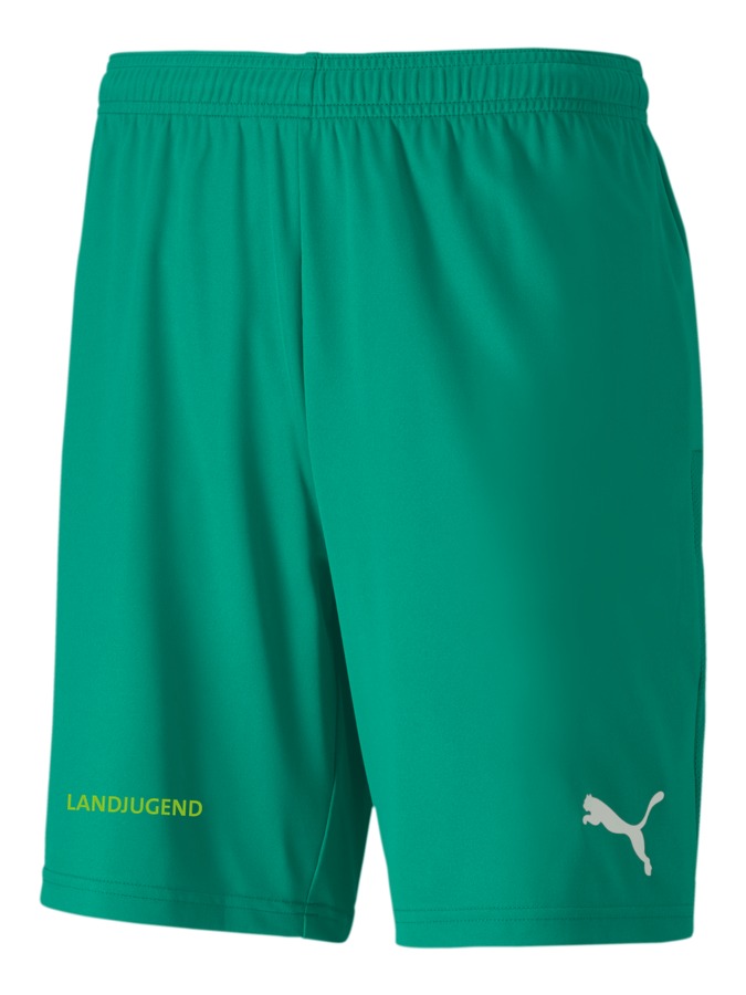 PUMA teamGOAL 23 Knit Shorts