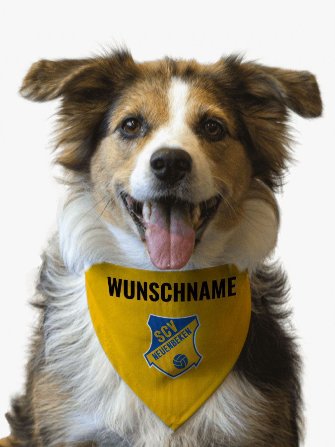 Hundehalstuch