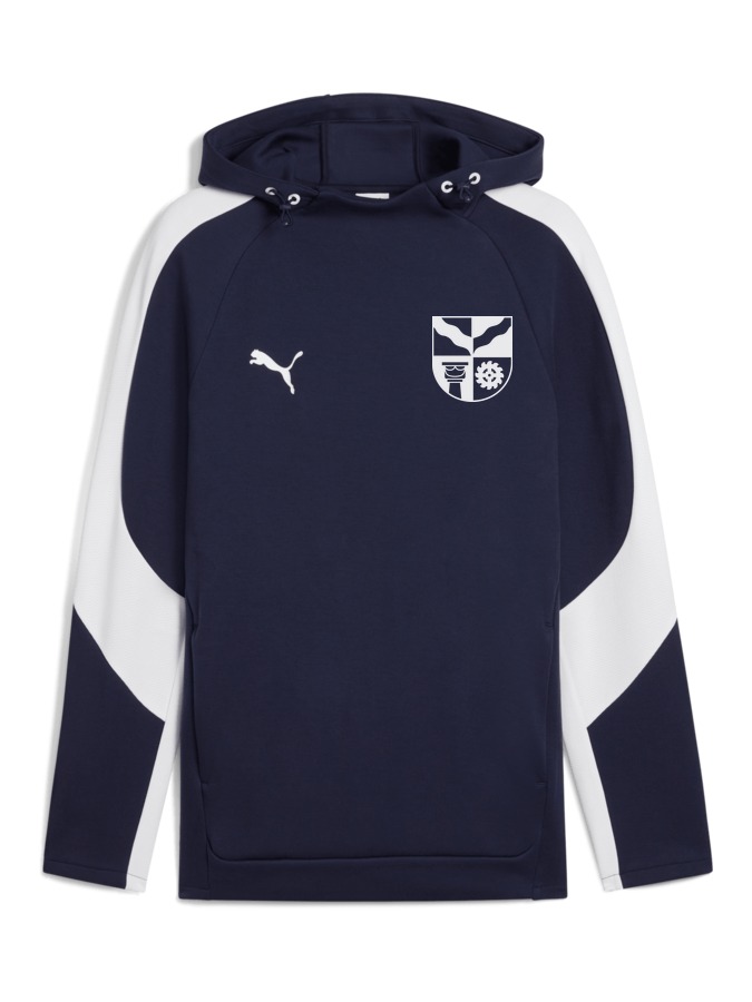 PUMA teamEVOSTRIPE Hoody