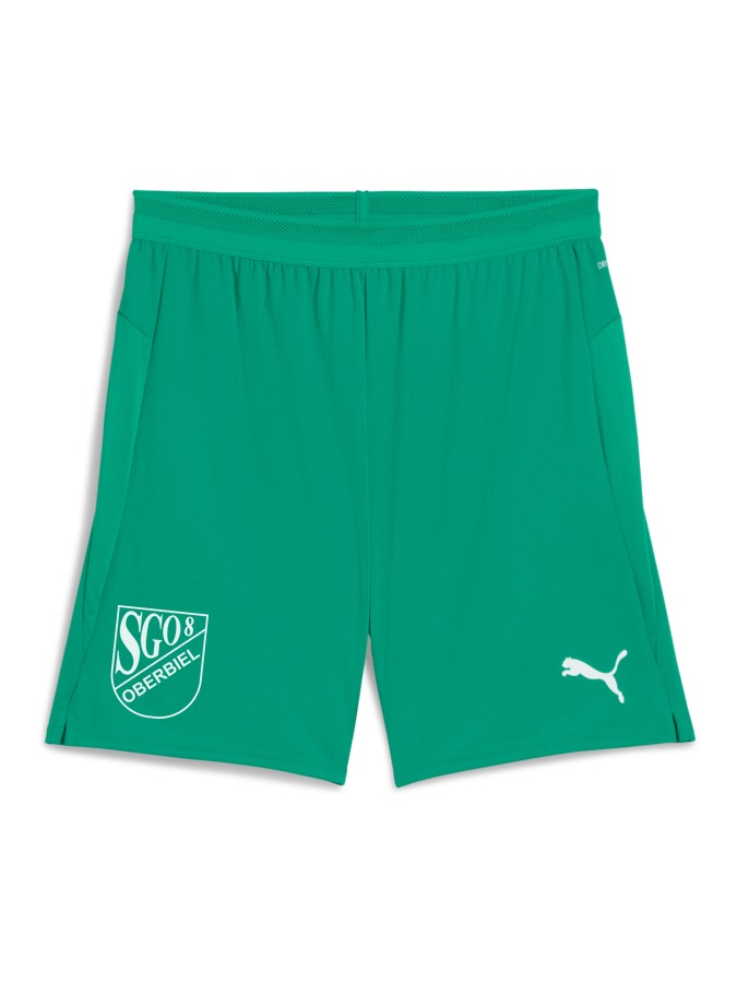 PUMA teamCUP Shorts