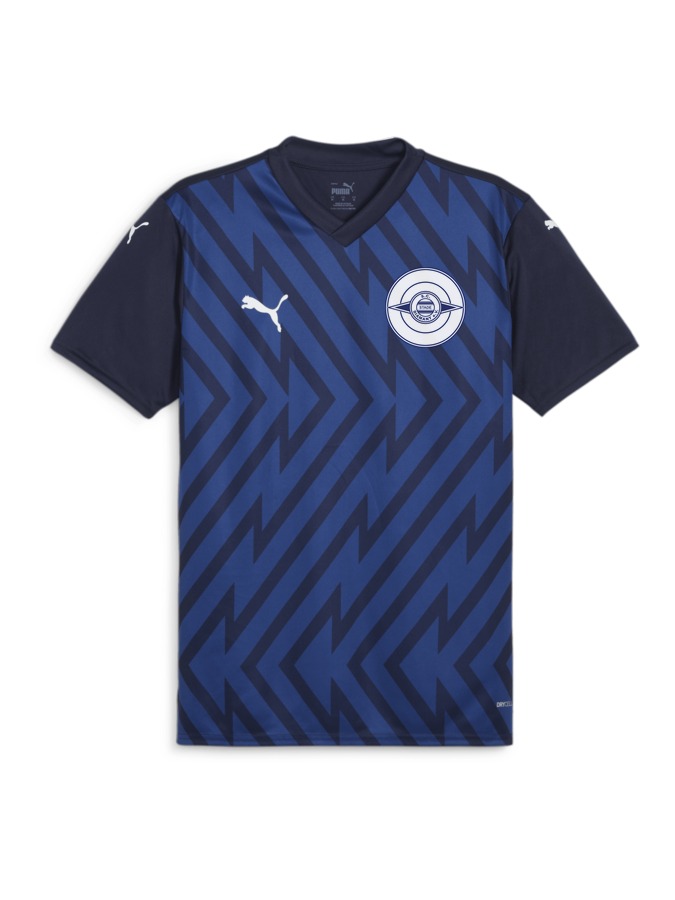 PUMA teamGLORY Trikot