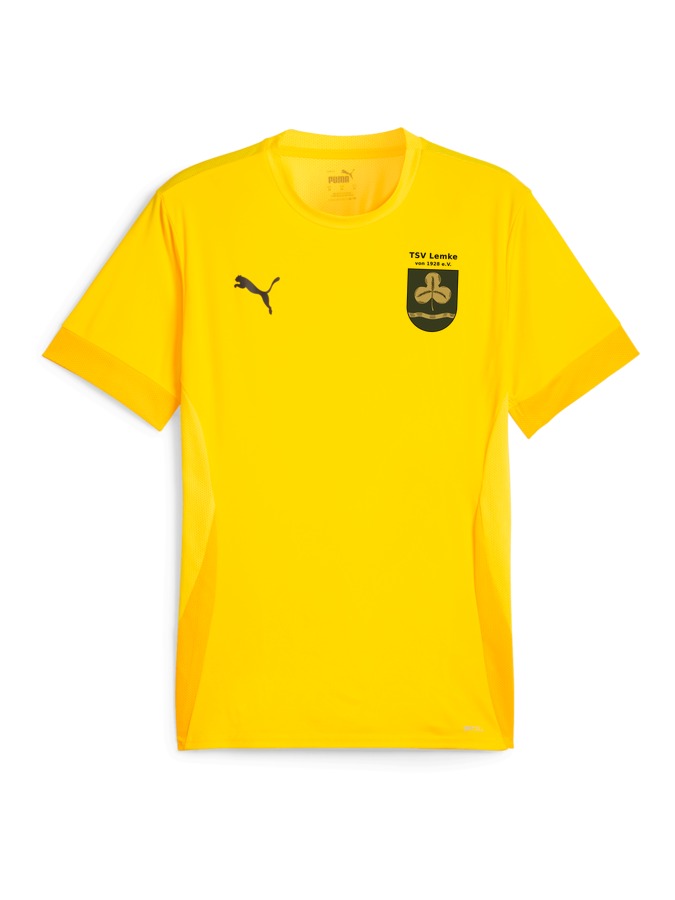 PUMA teamGOAL Matchday Trikot