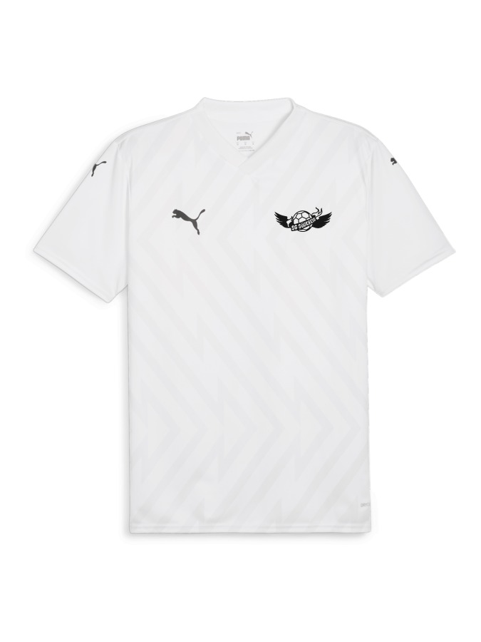 PUMA teamGLORY Trikot