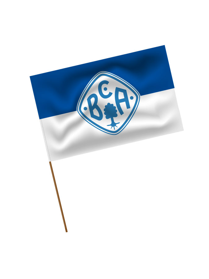 Stadionfahne Logo