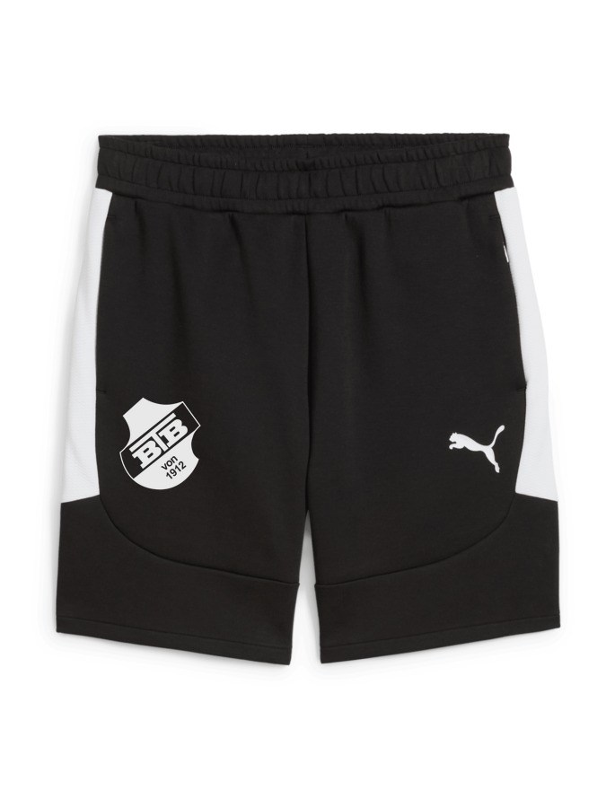 PUMA teamEVOSTRIPE Shorts