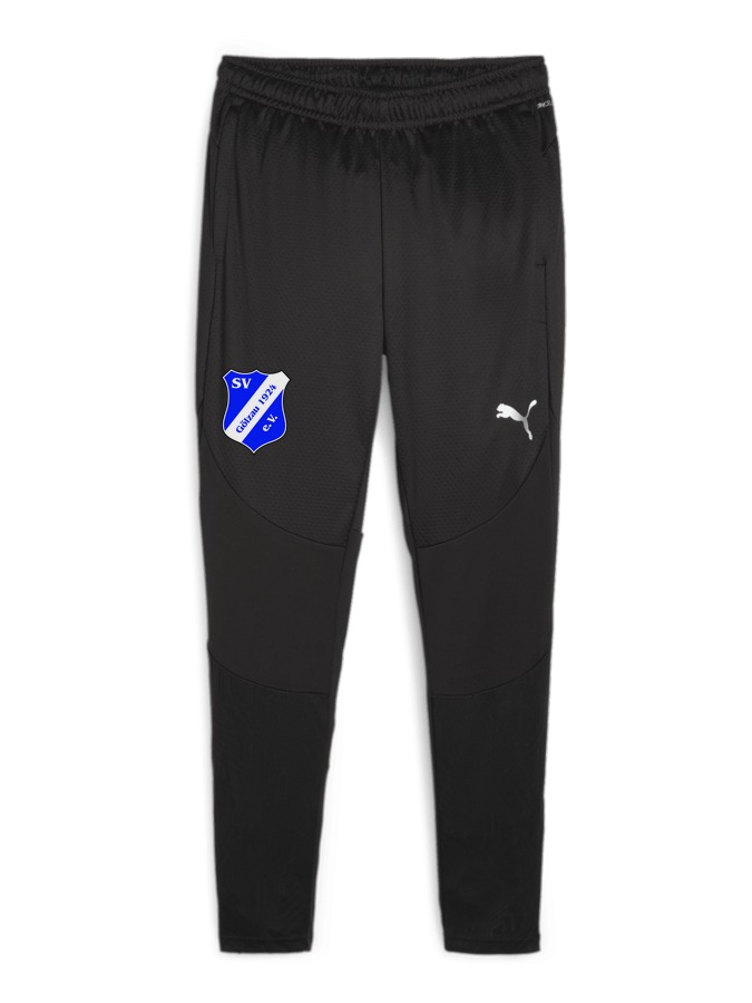 PUMA teamFINAL Trainingshose
