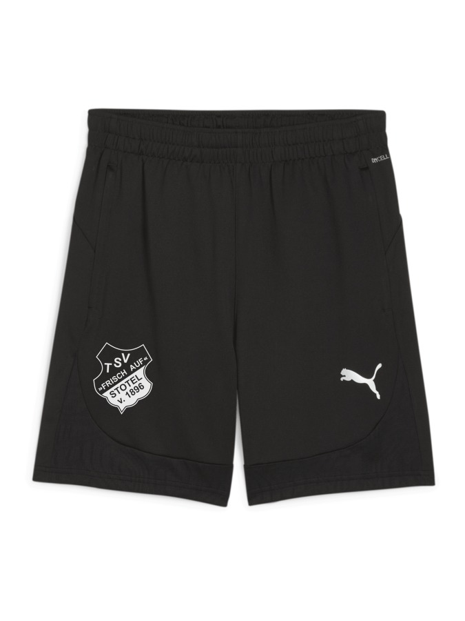 PUMA teamFINAL Training Shorts