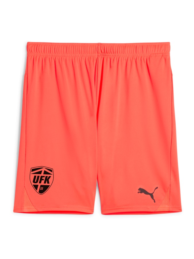 PUMA teamGOAL Shorts