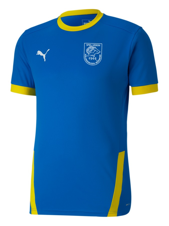 PUMA teamGOAL 23 Trikot