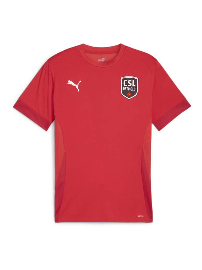 PUMA teamGOAL Matchday Trikot
