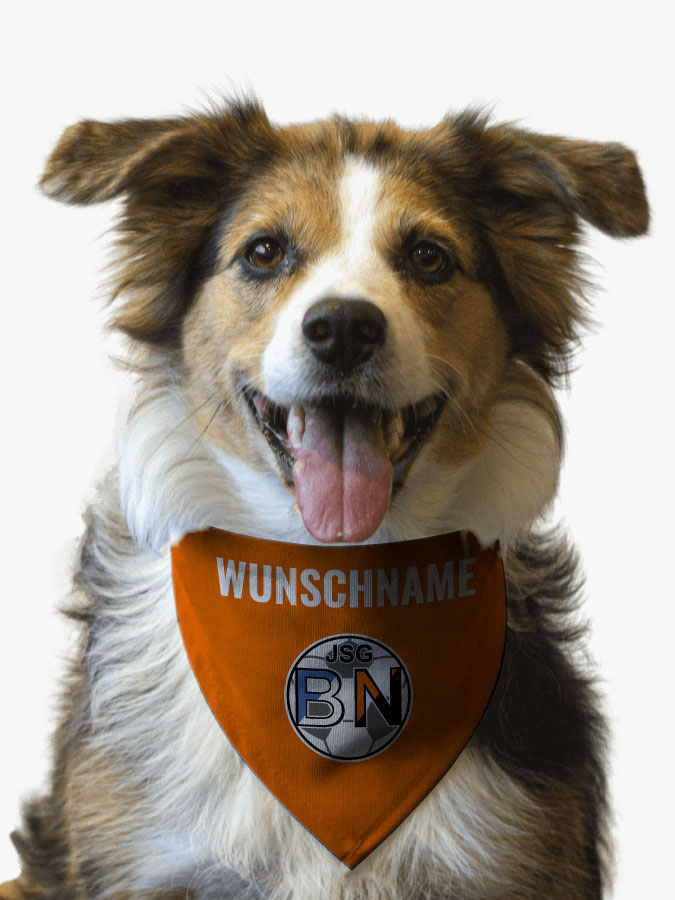 Hundehalstuch
