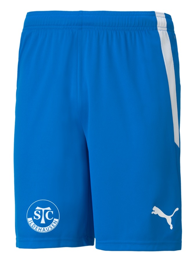 PUMA teamLIGA Shorts
