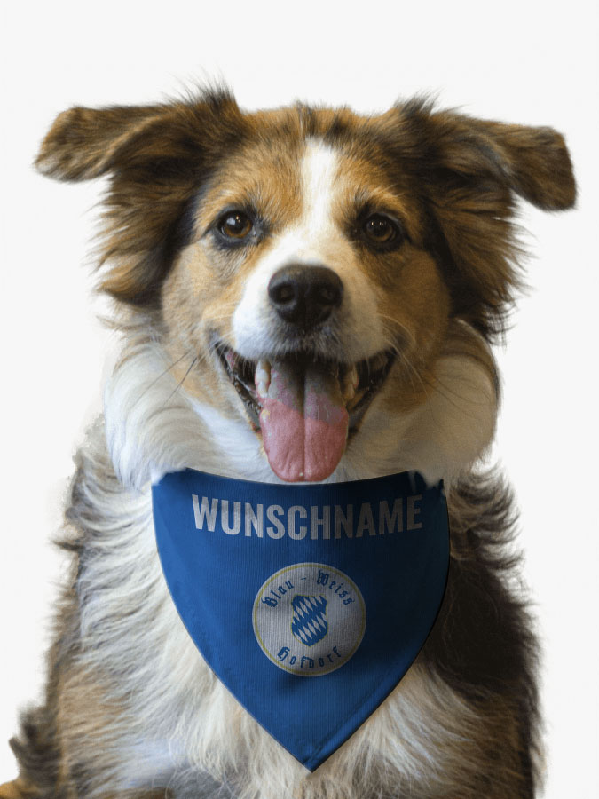 Hundehalstuch
