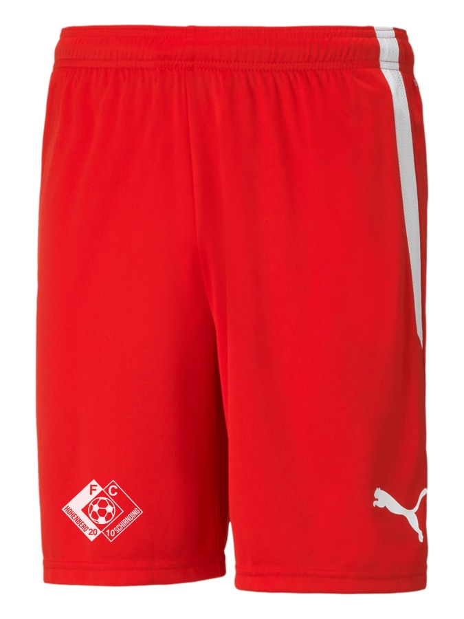 PUMA teamLIGA Shorts
