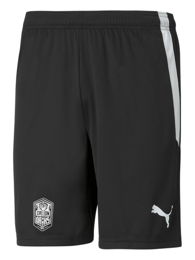 PUMA teamLIGA Shorts