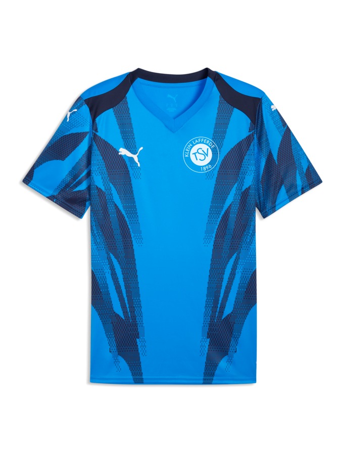 PUMA teamFINAL Graphic+ Trikot