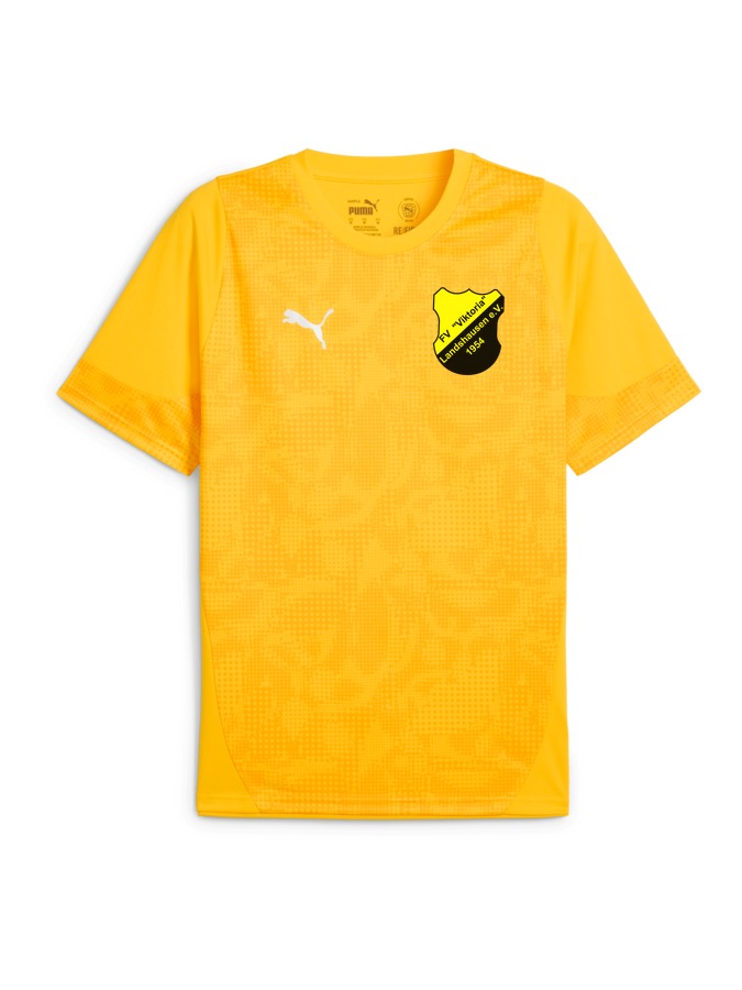 PUMA teamCUP Trainingsshirt