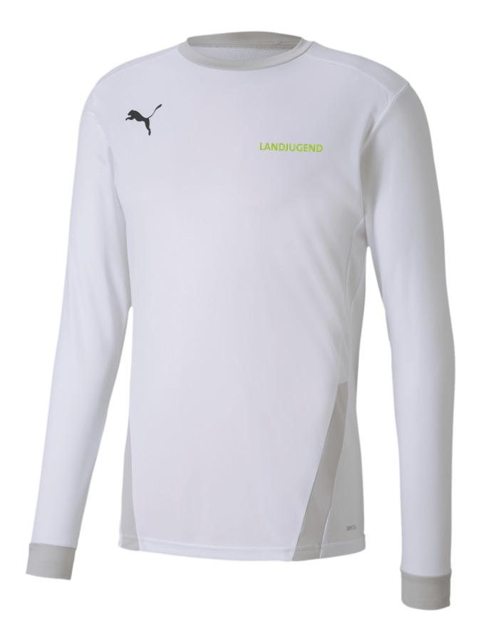 PUMA teamGOAL 23 Longsleeve
