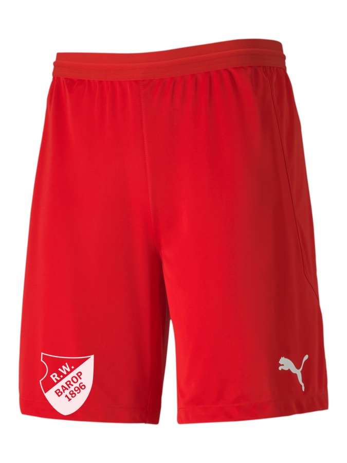 PUMA teamFINAL 21 Knit Shorts
